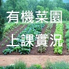 【有機菜園】棚架的介紹與搭建--上課實況